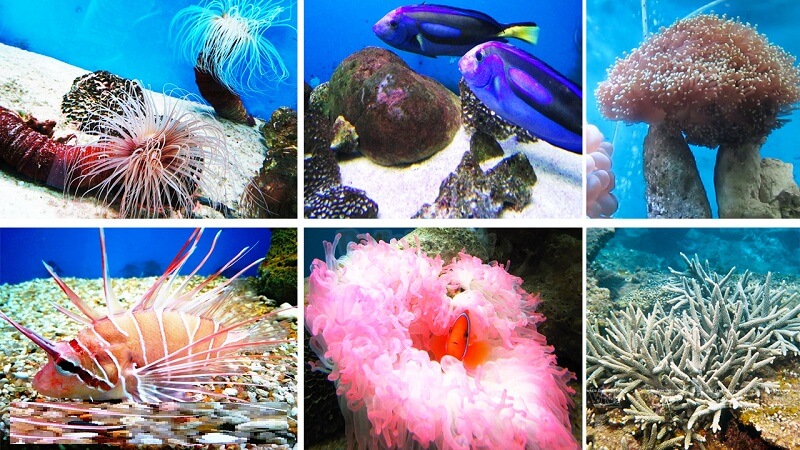 Ngành Hải dương học