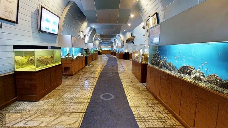 Cơ hội việc làm ngành Hải dương học