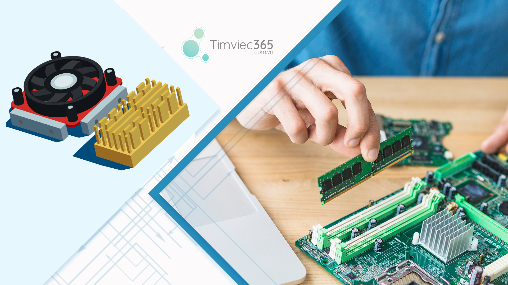 Các trường ở miền Bắc đào tạo, tuyển sinh