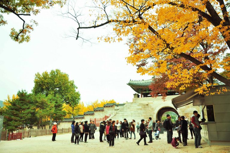 Quản lý nhà hàng, khách sạn Hàn Quốc tại Việt Nam