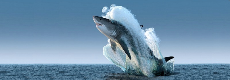  Cơ hội trở thành giám đốc quản lý dự án nhận lương ngàn đô