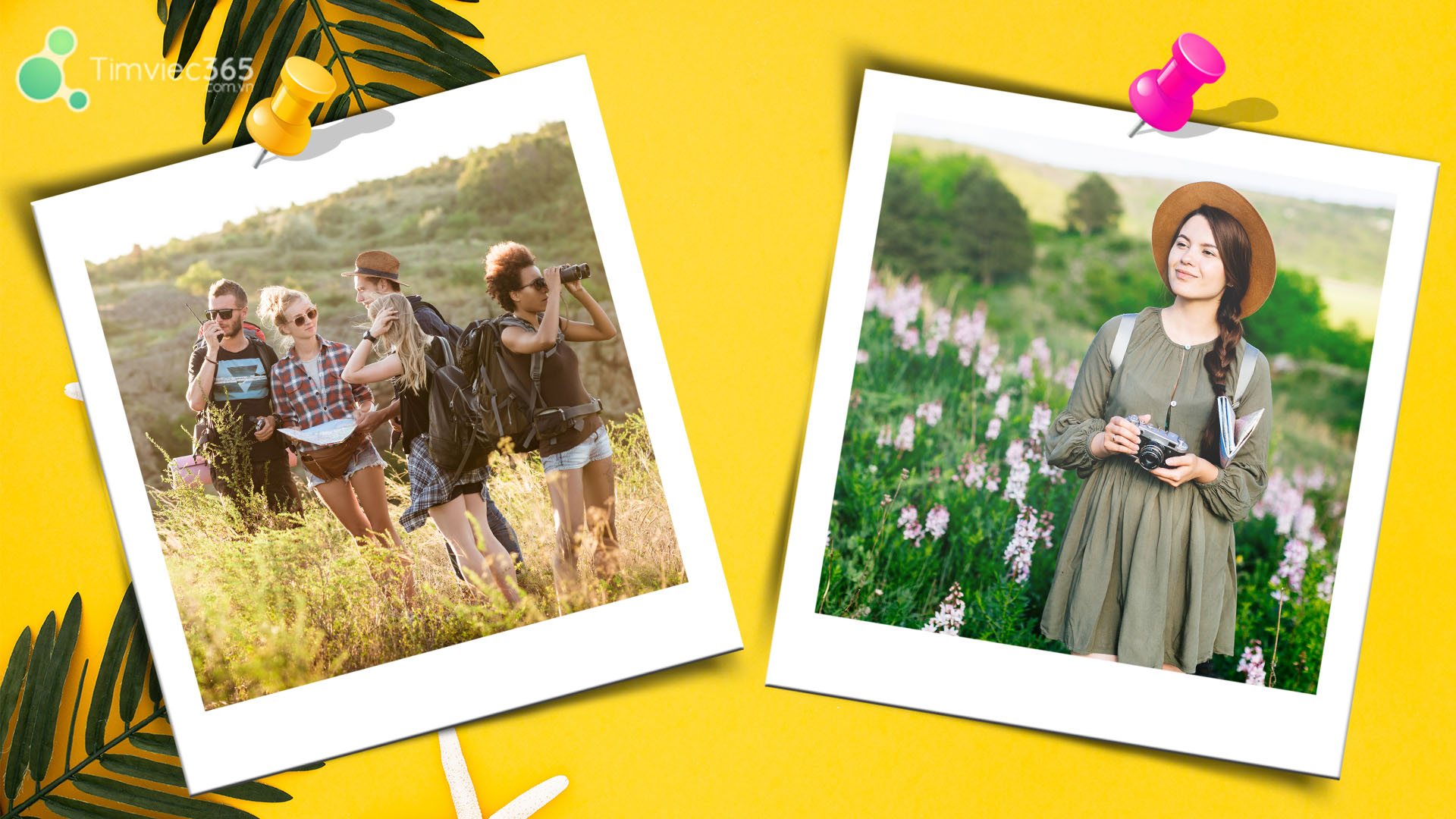  Ngành quản lý văn hóa thi những khối gì?