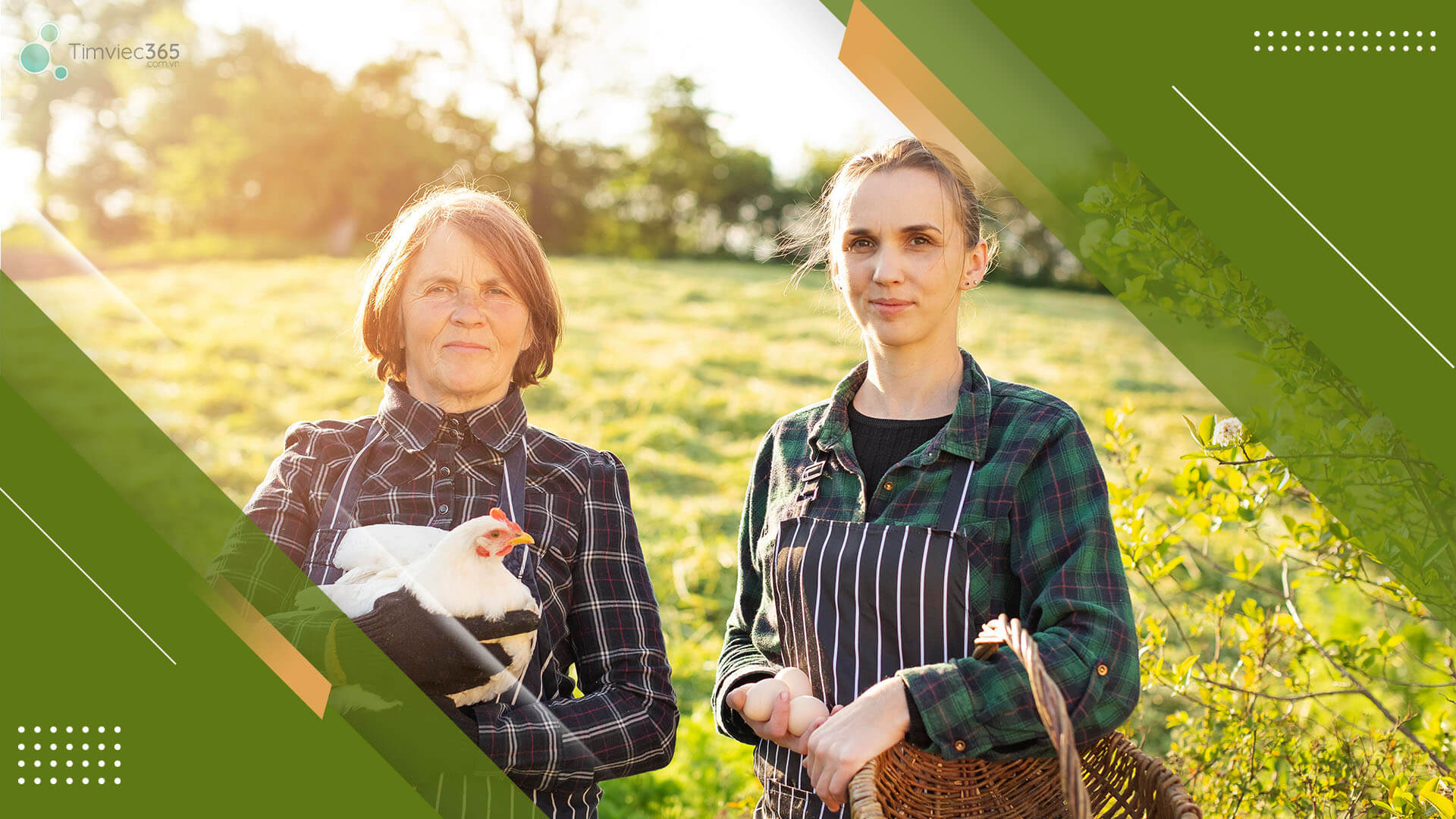 Cùng hiểu hơn về thú y là như thế nào nhé