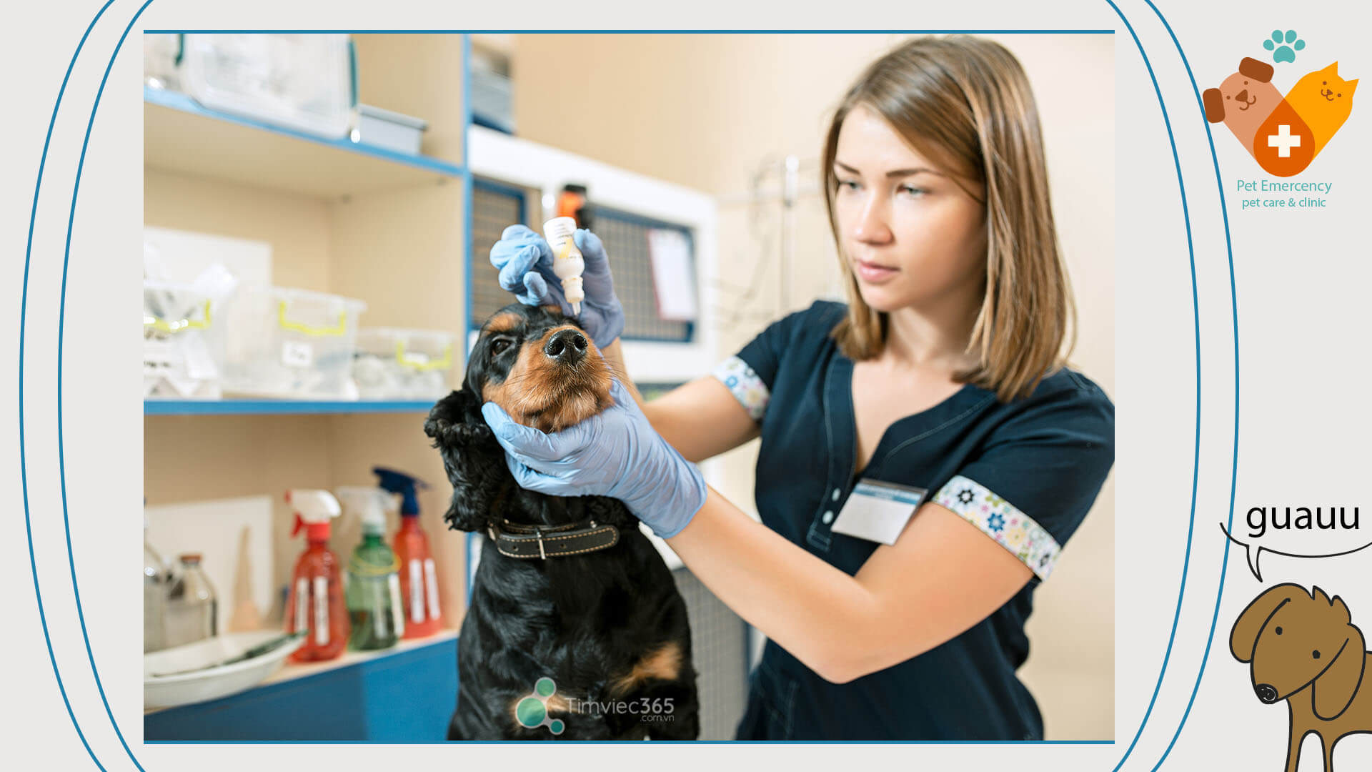 Sinh viên theo học thú y sẽ được trang bị cho kiến thức gì