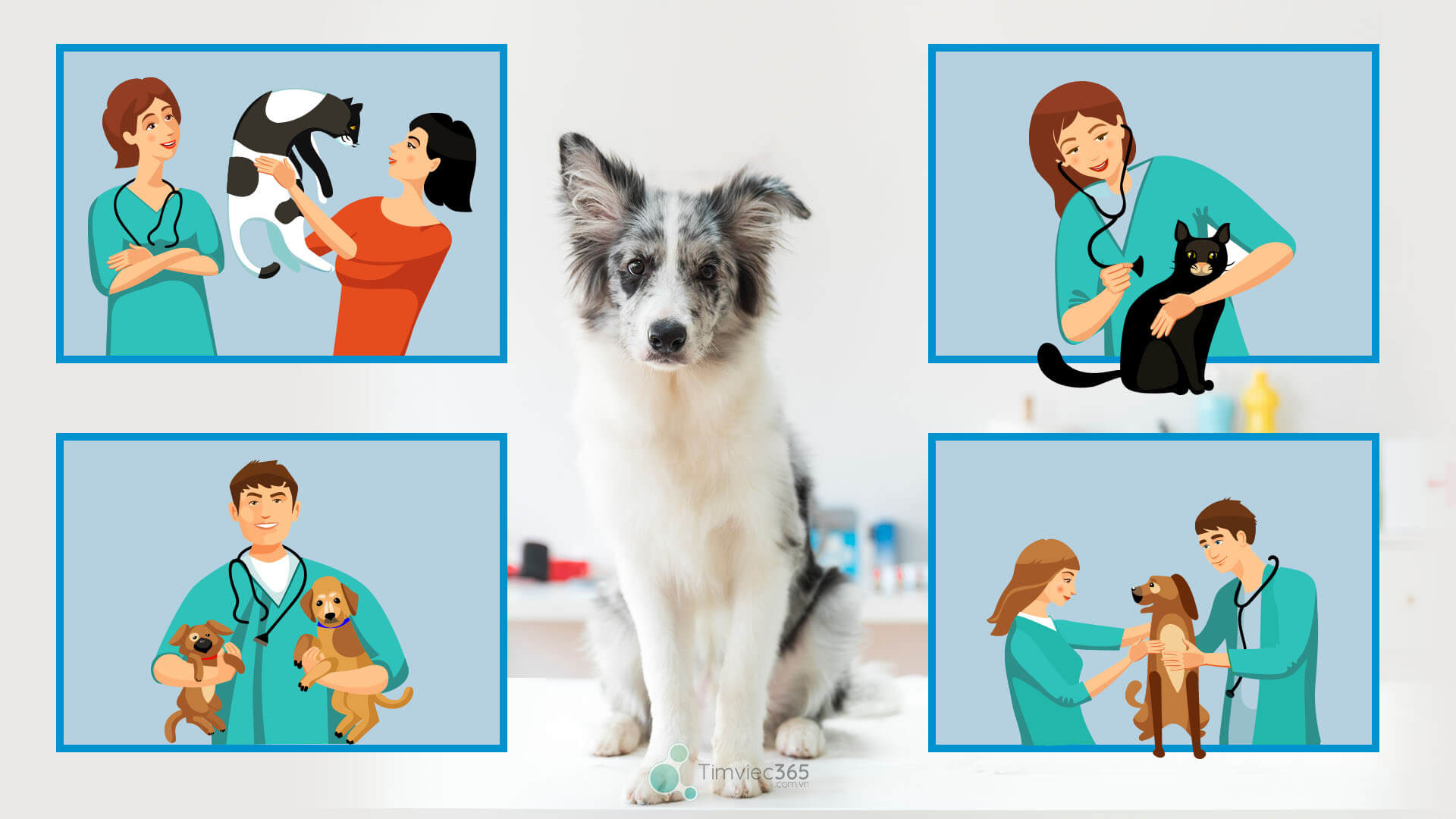 Thi vào thú y, sinh viên cần phải biết những tổ hợp môn nào