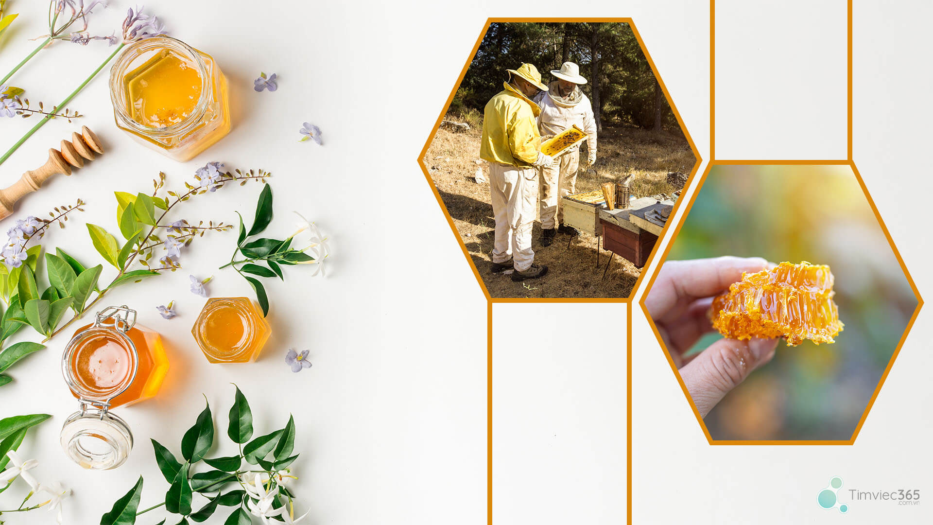 Cơ sở đào tạo thú chất lượng nhất hiện nay