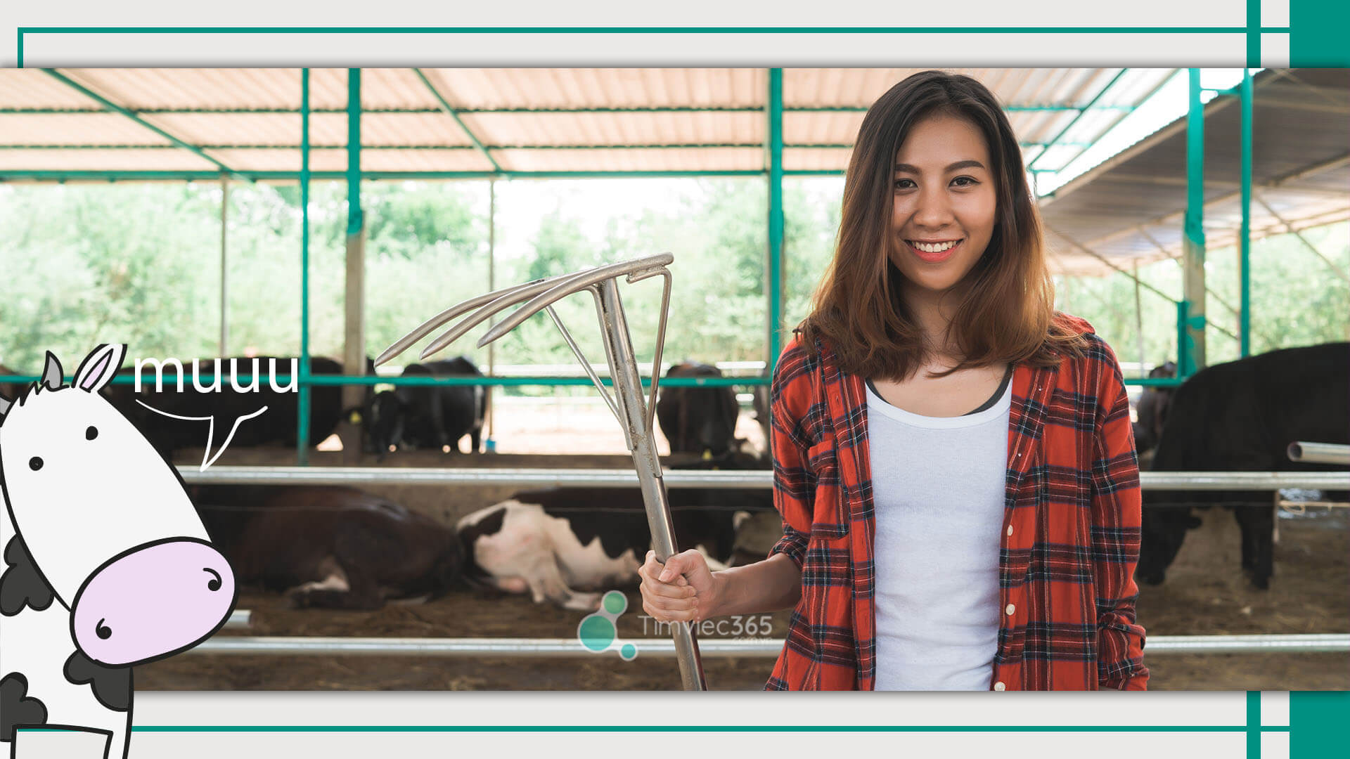 Top những công việc được tuyển dụng nhiều nhất mà bạn có thể làm