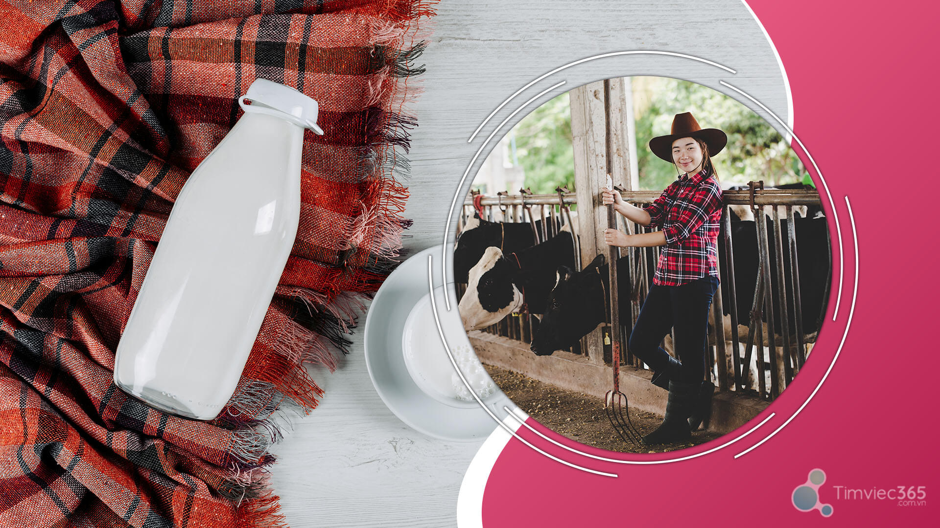 Thú y - Top ngành nghề dễ xin việc nhất