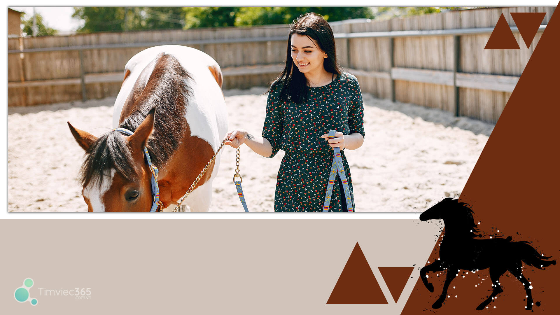 Mức lương của sinh viên ngành thú y ra sao