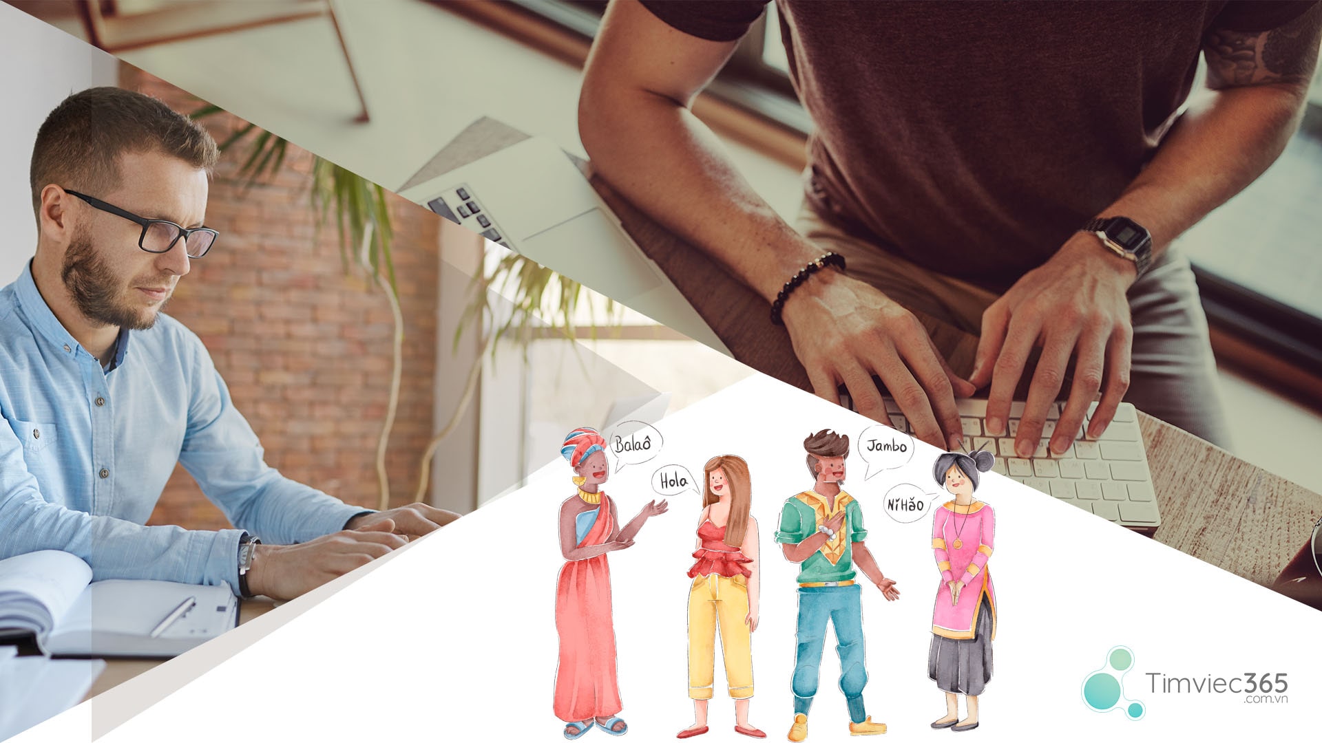 Sinh viên ngành triết tương lai làm gì?