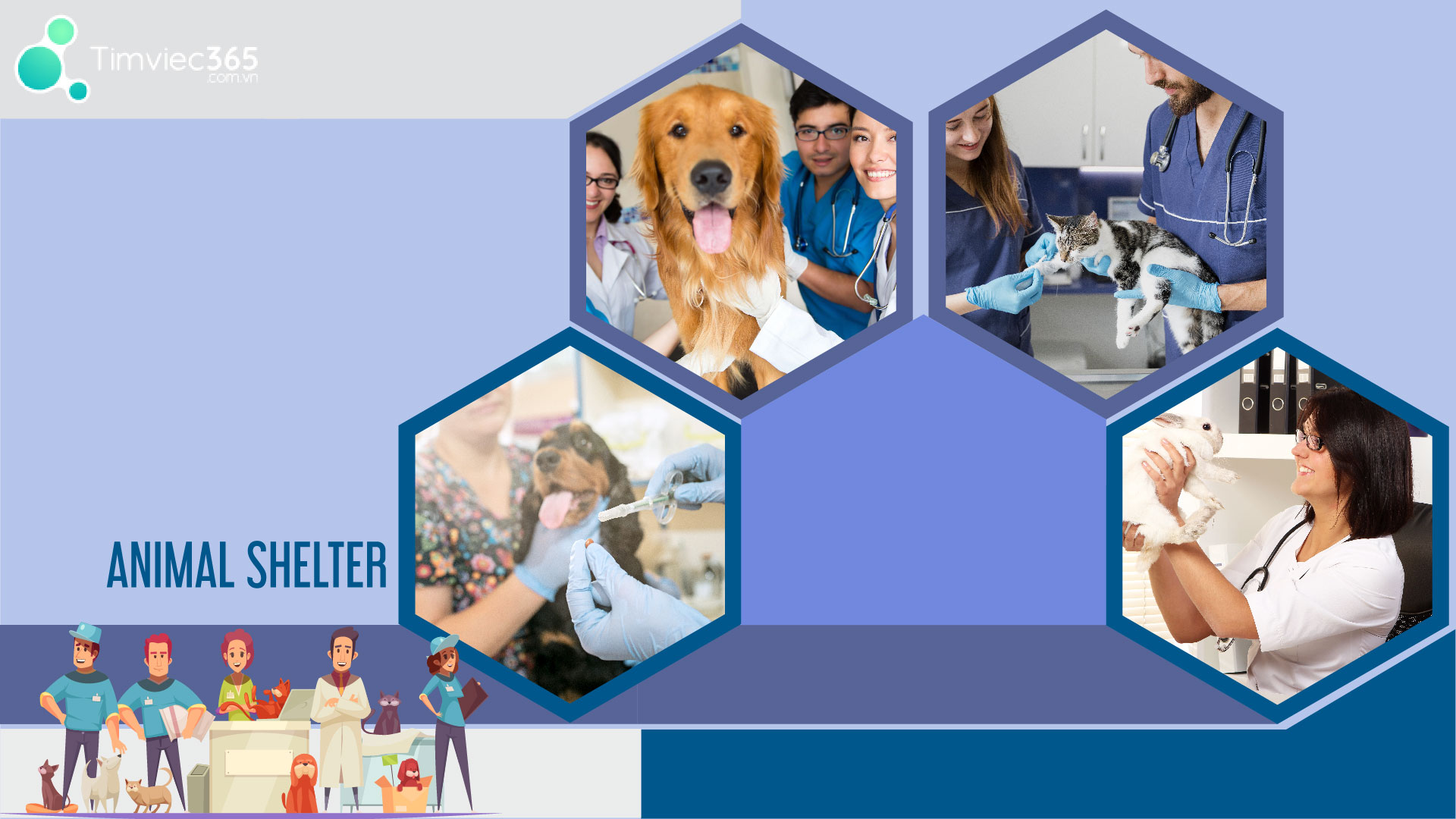 Học ngành y tế công cộng ra làm gì?