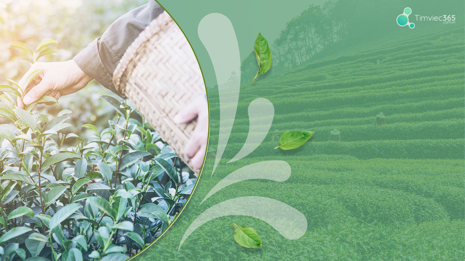 Người nhạy cảm thích hợp với nghề tư vấn dinh dưỡng