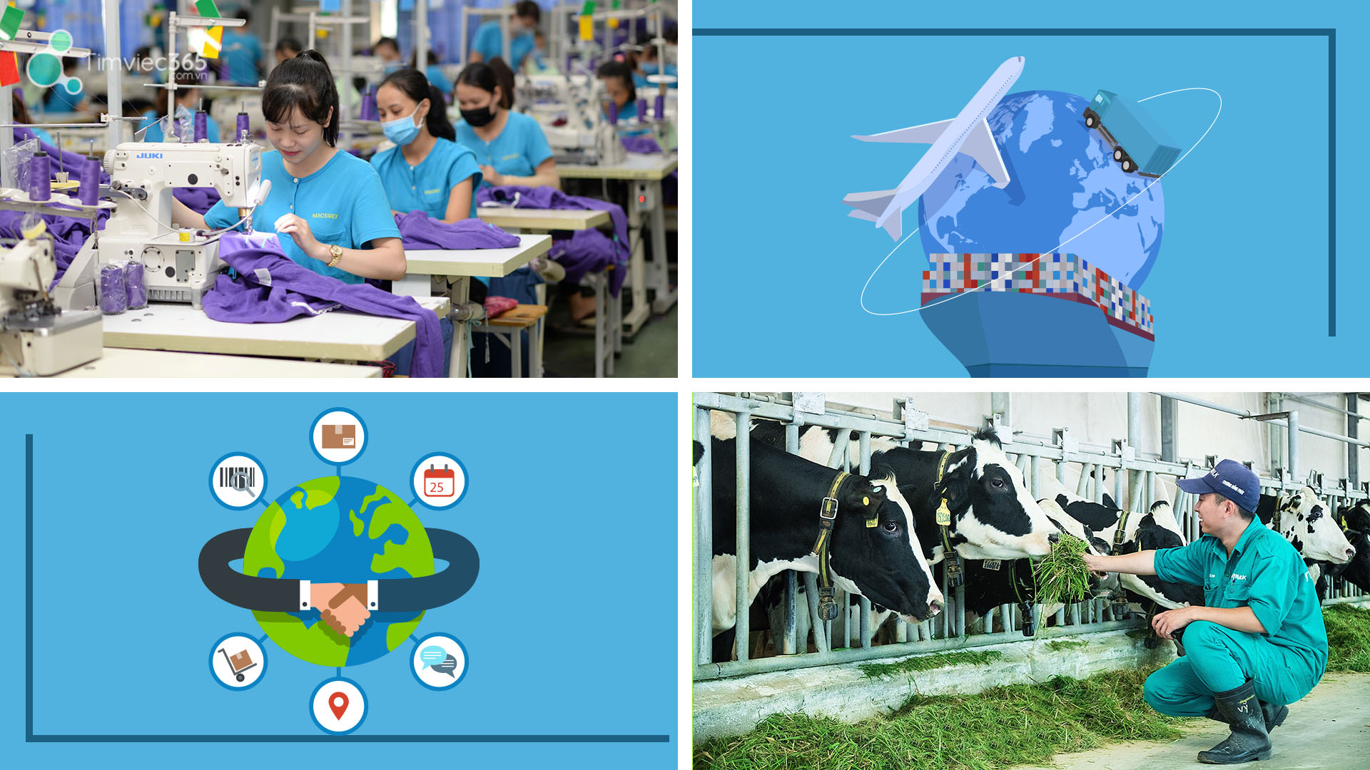 Nhân viên KCS - Cơ cấu tổ chức ra sao? 