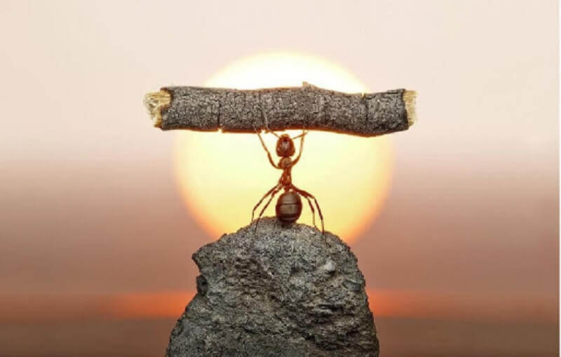 Những lý do mà chúng ta cần phải nỗ lực?