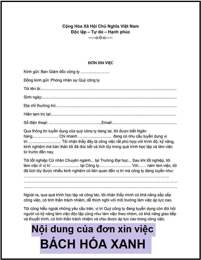 Nội dung là phần quan trọng nhất trong đơn xin việc