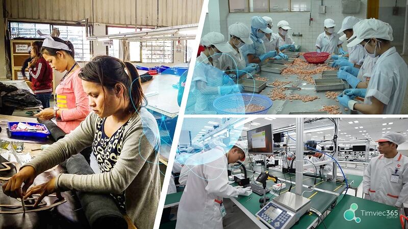 Tiêu chuẩn về quy cách đóng gói