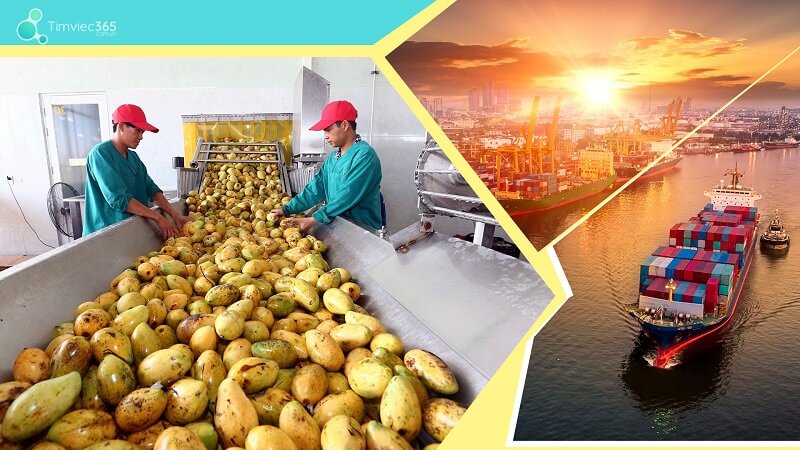 Tiêu chuẩn về tên gọi của hàng hóa