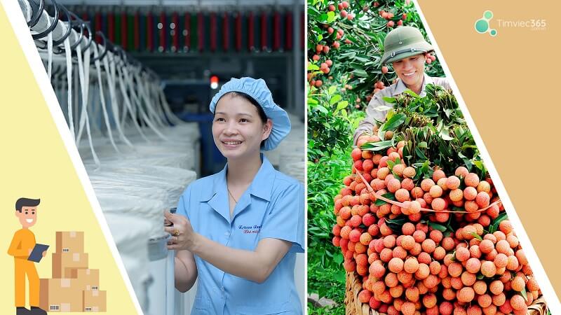 Định nghĩa chuẩn nhất về quy cách hàng hóa