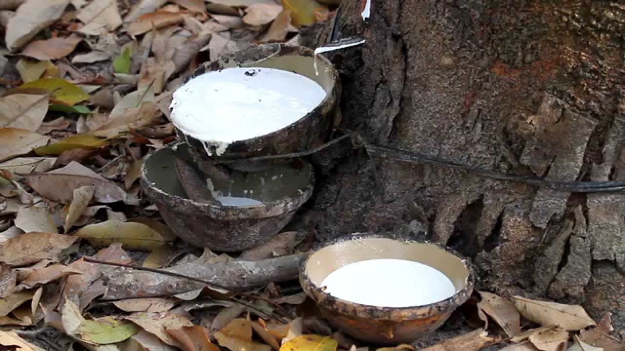 Nguyên liệu thô là gì