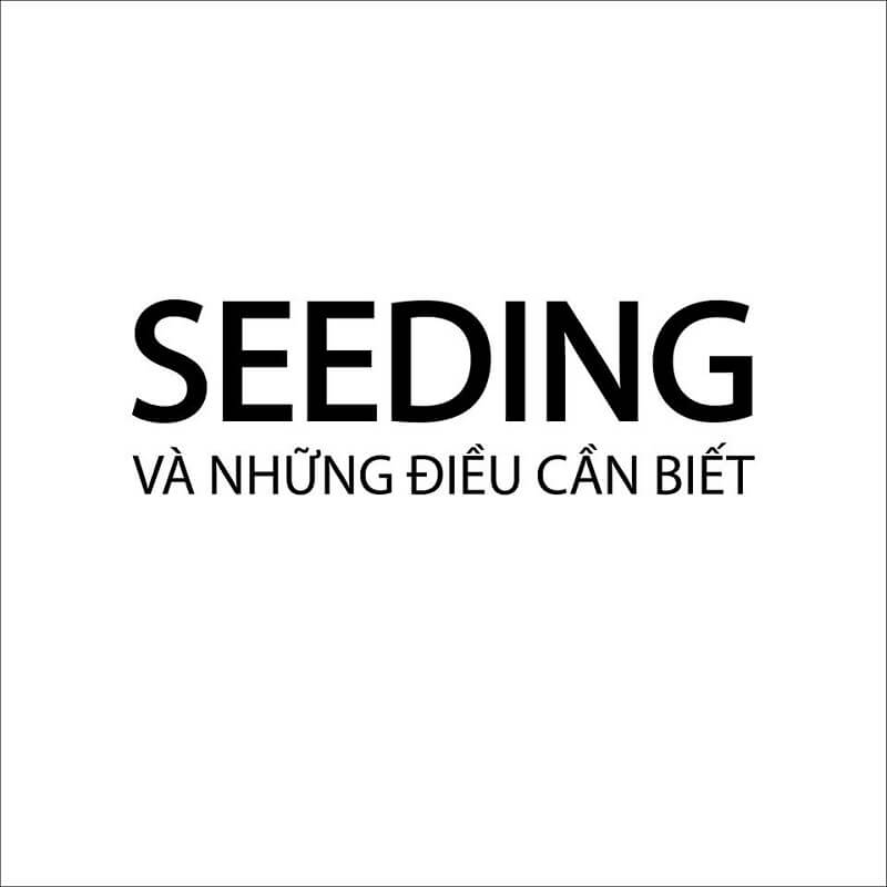 Hiểu chính xác hơn về Seeding là gì?