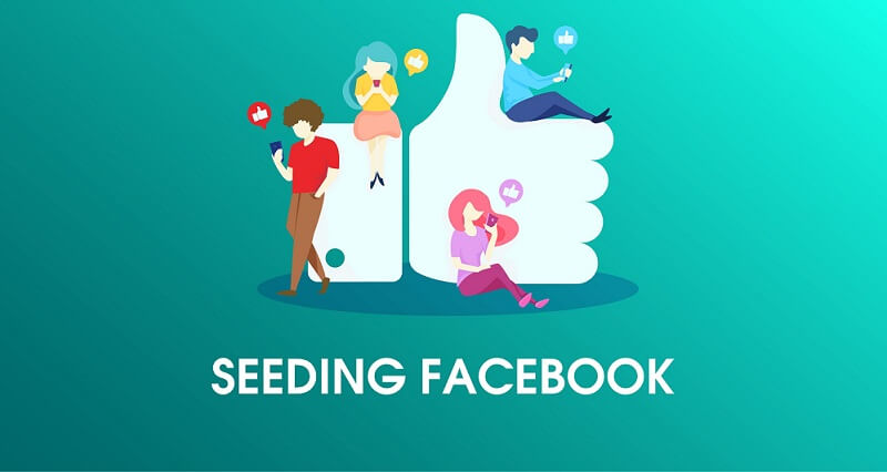 Vậy còn Seeding Facebook là gì?