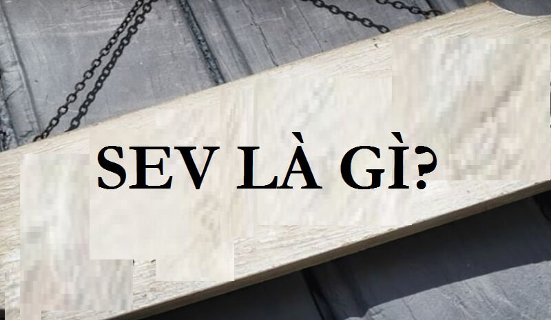 SEV là gì? Tìm hiểu những ý nghĩa cơ bản của SEV