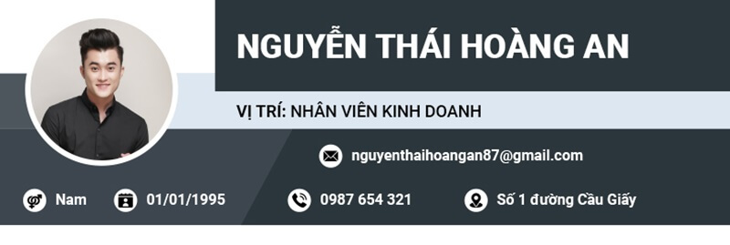 Phần thông tin cá nhân trong bản CV Startup