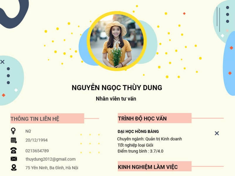 Phần thông tin cá nhân trong CV xin việc tư vấn