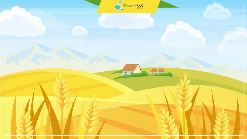 Mức thuế nhà đất hiện nay phụ thuộc vào những yếu tố nào