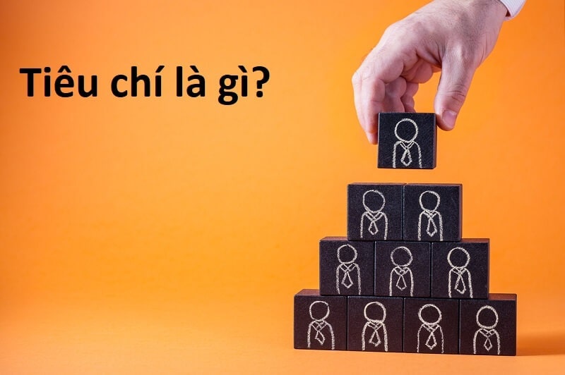 Tiêu chí là gì?