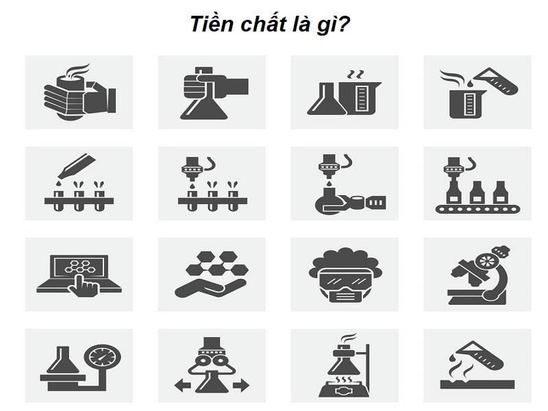 Tìm hiểu về tiền chất