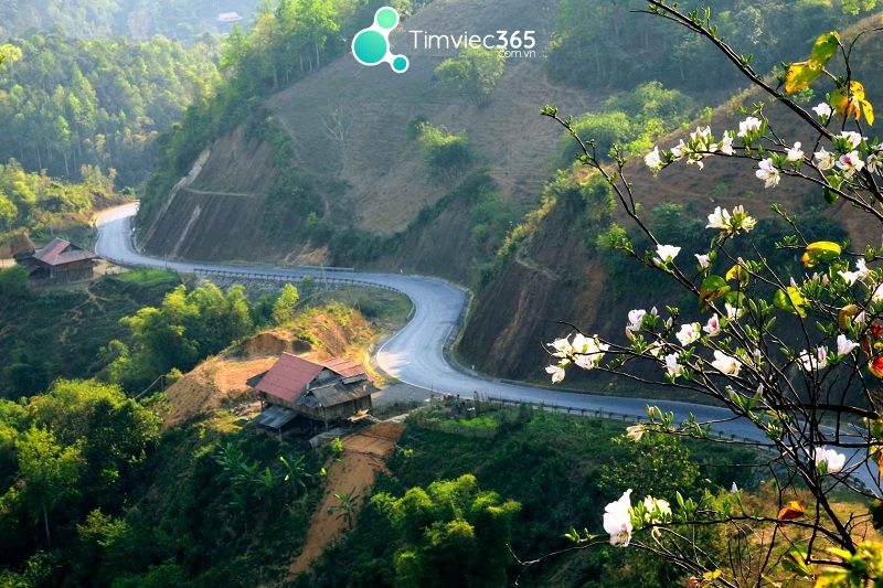 Số lượng doanh nghiệp, dự án đầu tư đang không ngừng gia tăng