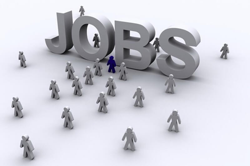 Tìm việc tại Thái Bình - Tìm việc làm tại Thái Thụy Thái Bình