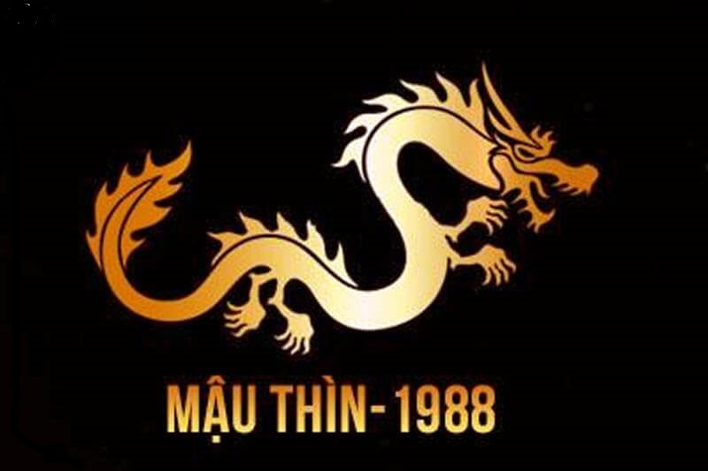 Ngành nghề kinh doanh cho tuổi mậu Thìn