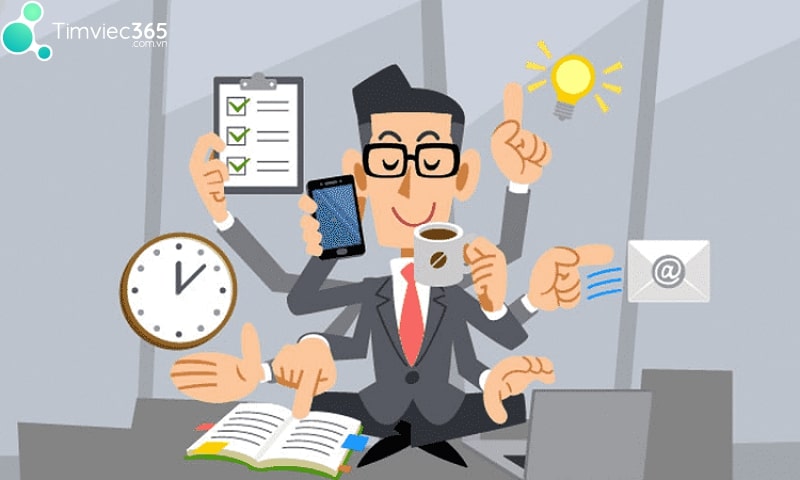 Việc làm tại Trà Vinh đa dạng nhiều chọn lựa