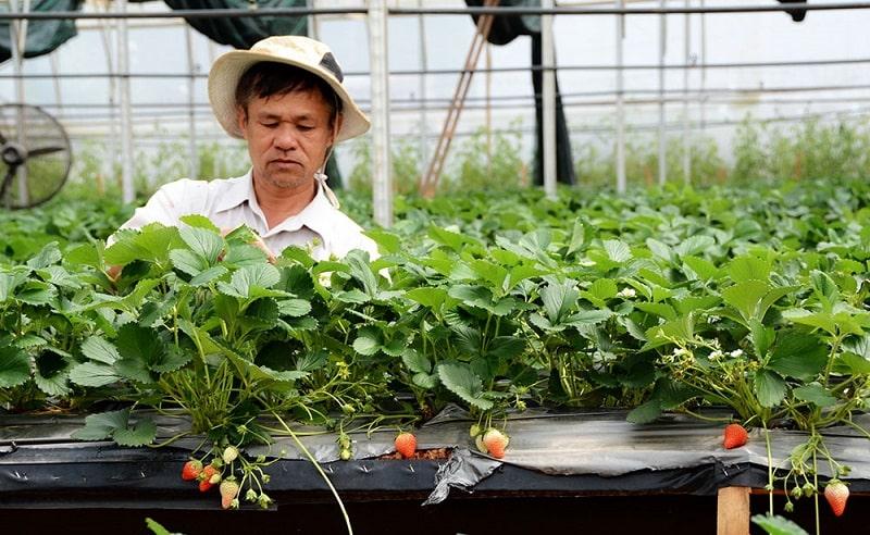 Những công việc cho người lao động chưa qua đào tạo