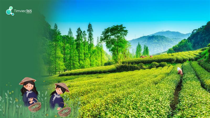 Giới thiệu tình hình chung về việc làm tại Lâm Đồng