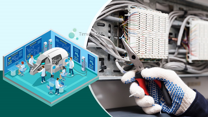 Nhiều sự lựa chọn về ngành nghề