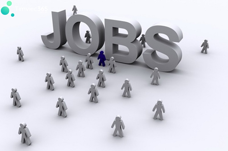 TOP những ngành nghề việc làm bà rịa vũng tàu mới nhất