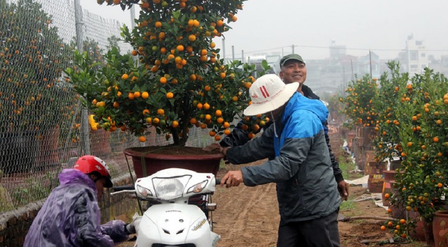  Tìm việc làm Tết tại Hà Nội