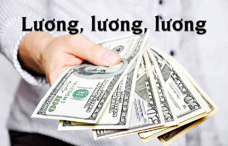  Các khoản lương được áp dụng