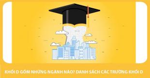 Khối D gồm những ngành nào chuẩn nhất cho bạn hiện nay