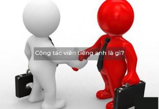 Cộng tác viên tiếng anh là gì? Hình thức làm việc nhiều lựa chọn