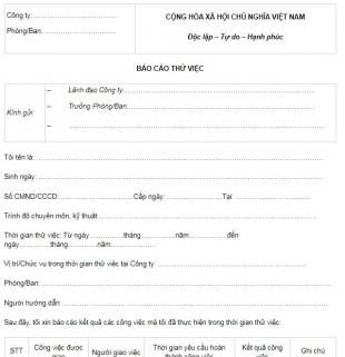 Hướng dẫn cách viết báo cáo thử việc chi tiết