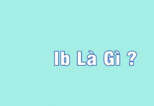 IB là gì? Phương thức giao tiếp nhanh chóng và tiện lợi