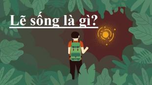 Bạn có từng thắc mắc lẽ sống là gì? Quan điểm, nhận xét về lẽ sống