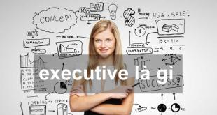 [Từ điển] Executive là gì? Và vị trí việc làm liên quan executive