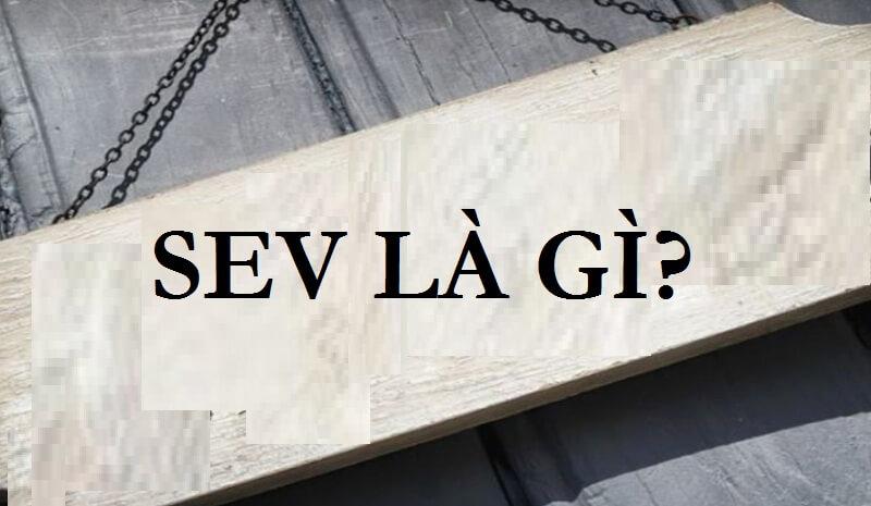 SEV là gì? Cập nhật thông tin cơ bản về SEV và những ý nghĩa của chúng