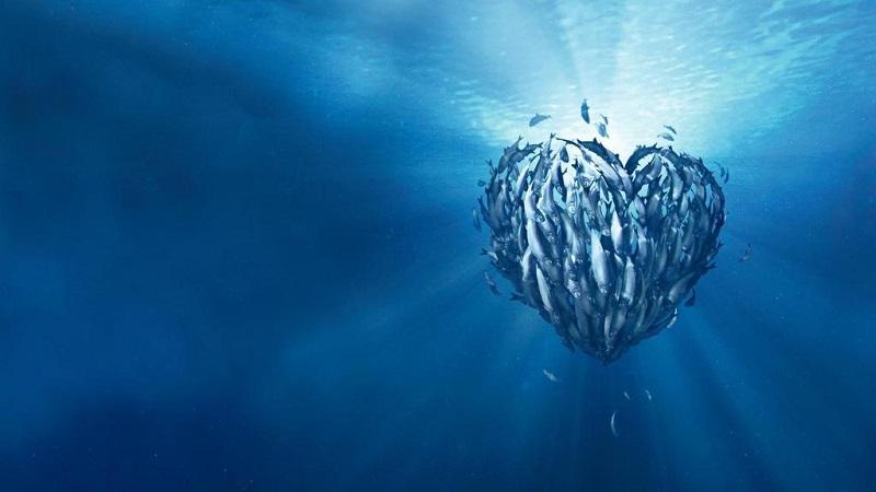 MSC là gì? Mở rộng cách hiểu hơn với những từ viết tắt này