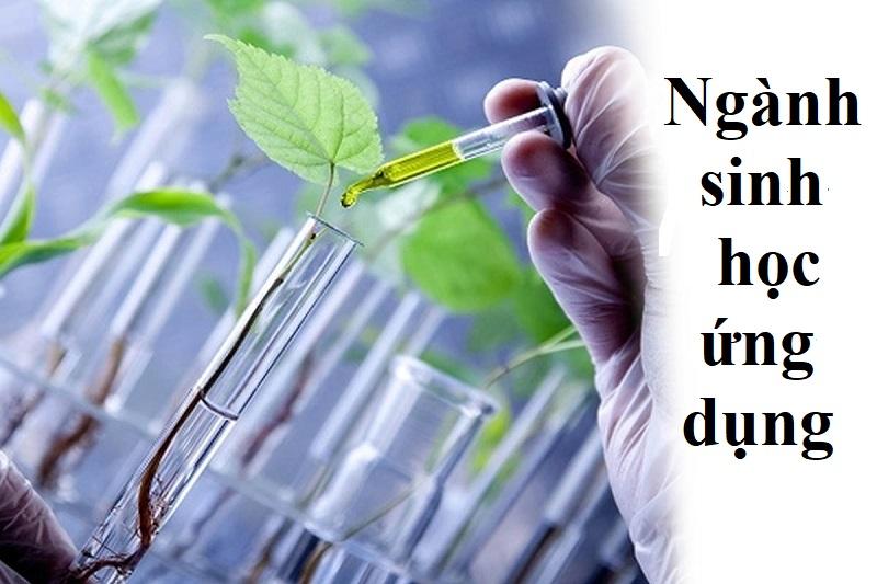 [Đáp án] Thông tin về ngành sinh học ứng dụng ra làm gì?